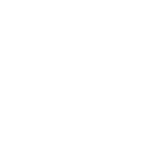 VIKING FACILITY